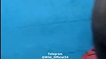 thamarai-stripchat-ticket-show
