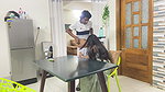 Bangladeshi Nadia Bhabhi Hardcore Anal Fuck on Breakfast Table
