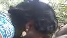 Village Bhabi Fucking In jungle