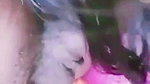 Young indian Girl fucked hard moaning2