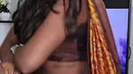 STEPHINA ALEX MESMERIZING DUSKY BABE SEXY WAIST NAVEL IN SAREE