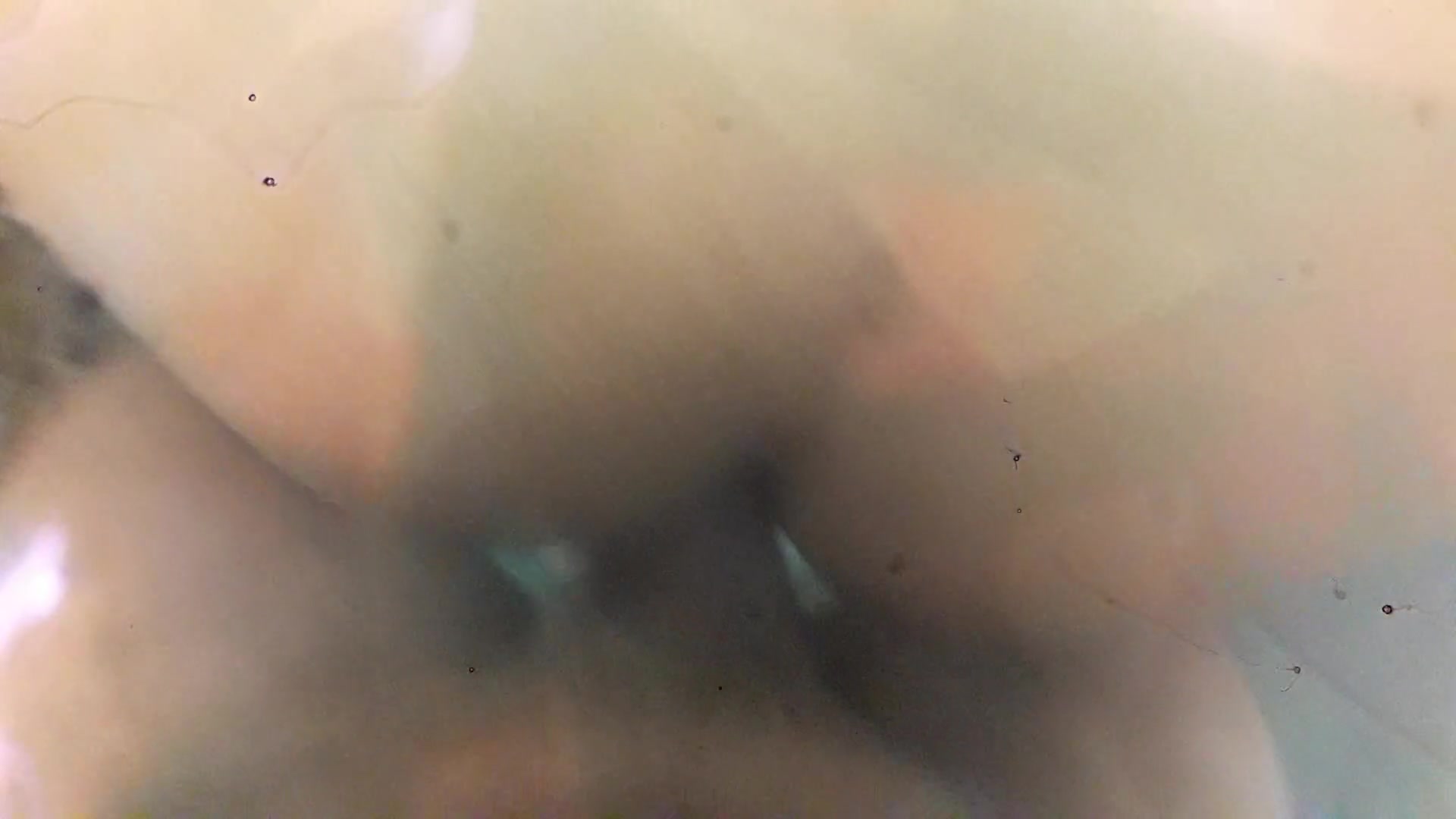 Frame 10