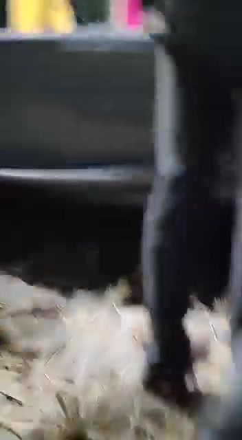 Frame 10