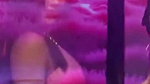 sexy tancy raul bikini walk2