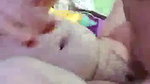 Punjabi Bhabi Fuck With Lover2