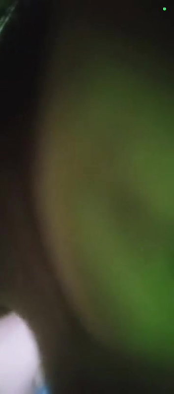 Big boobs shy gf Showing her shaggy tits in vc 2