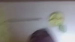Bigboob Desi Gf Showing Lover Videos 2