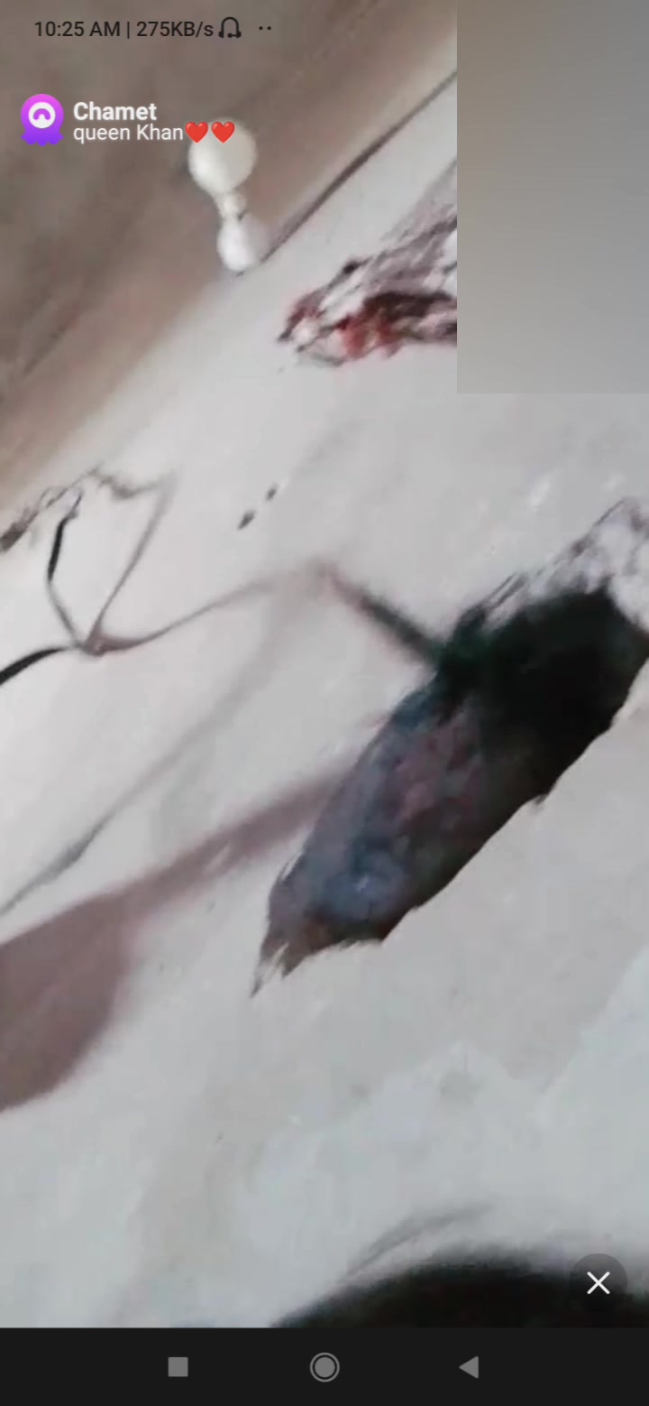 Frame 10