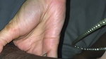 Anitaukslut4u blowjob face visible