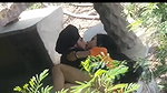 Punjabi lover sex capture