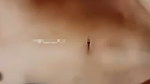 Indian collage girl enjoying with boyfriend and pussy fucking 2