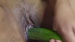 Horny Honey Masturbating With Cucumber and Show Asshole 2