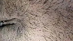 sexy_desifun_2025_jul_17.live show2