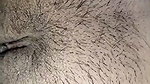 sexy_desifun_2025_jul_17.live show2