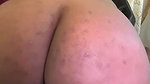 Wildest hory Pvt show