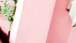 pink fairy chamet