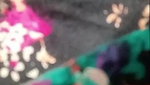 kittu kitty