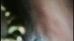 floop nop 2