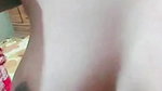 nipa