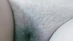 nipa