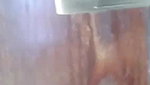rubab