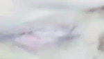 taneia