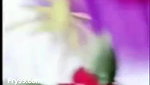 Mix chamet collection- 214
