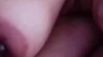 Mix chamet collection- 250