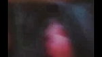 me dustu