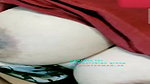 dvshh