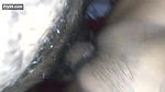 Desi girl fucking