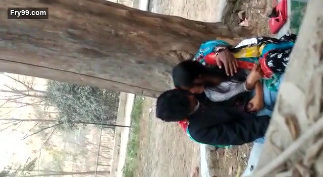 Desi Lover Blowjob In Park