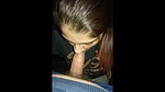 desi haseen babe blowjob