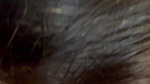 Hot milf bhabi seduce with her blowing blowjob to her hubby