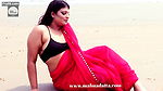 sneha-saree-1