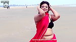 sneha-saree-1