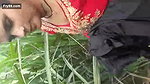 Desi village bhabi caught on fied