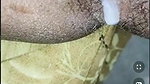 Sweety Sona Cpl Fucking in Tango Live