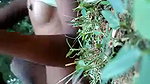 Desi lover fucking  Jungle