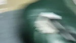 Cute Girl Blowjob