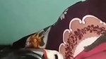 Bangladeshi Couple Hard Fucking With Moaning