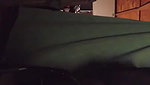 Teen Sucking Cock for Drugs and Money