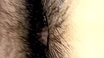 Asian Black Tight Pussy (Part 1)