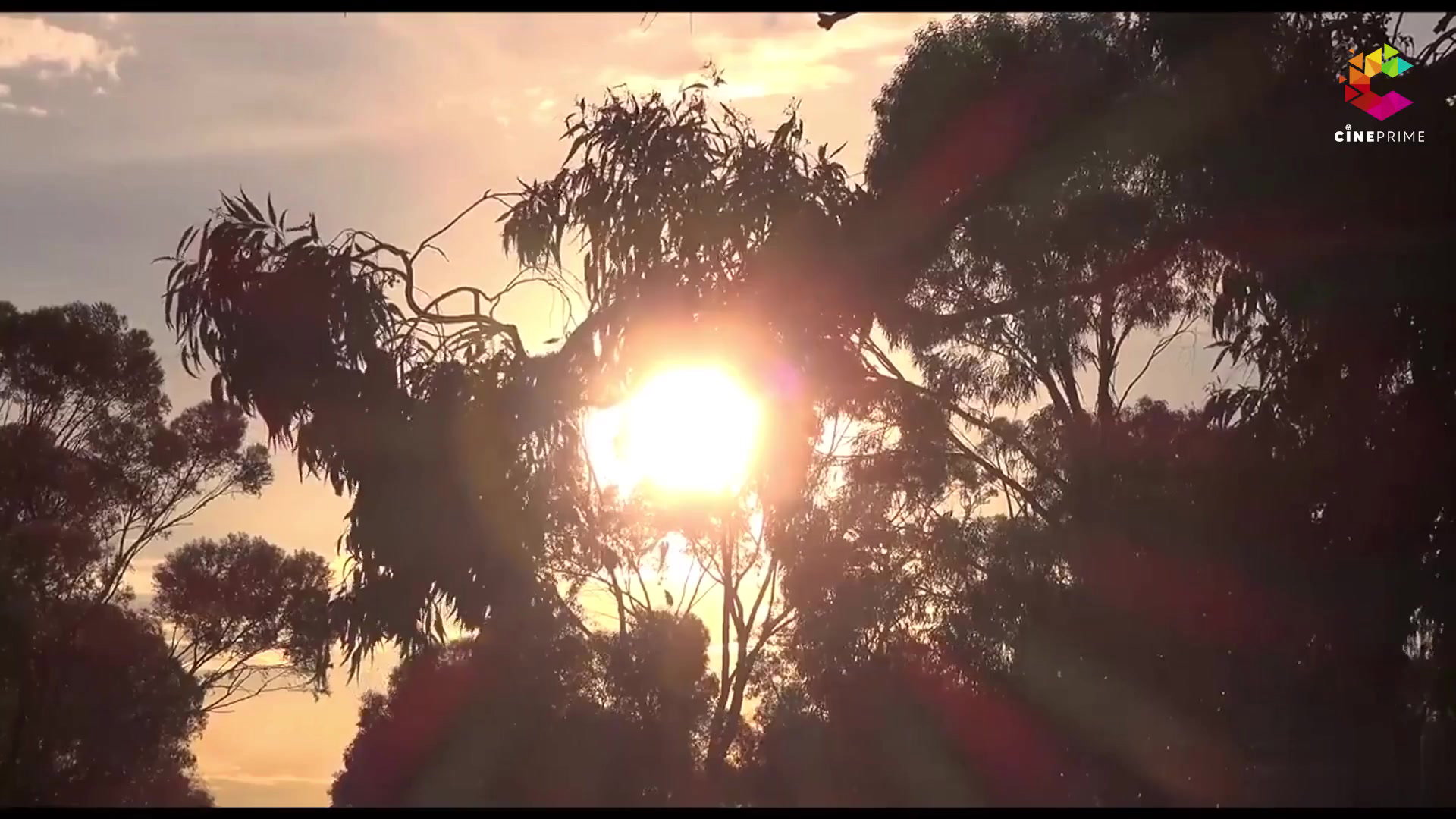 Frame 10