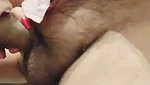 Cute Girl Sucking Lovers Dick Nicely