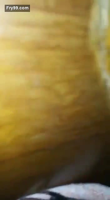 Beautiful girl shaved pussy fucking