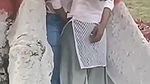 Viral Tamil College Lover Outdoor Romance Secretly Recorded2