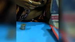 Bengali bhabi show her boobs