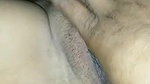 Punjaban