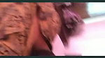 friend gf fucking doggy
